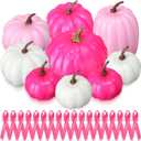 Breast Cancer Awareness Decorations 9 Pcs Pink Artificial Pumpkins 50 Pink Ribbon Satin Pins Rose Red Faux Foam Pumpkins for Women Charity Event Survivor Campaign Favors Supplies