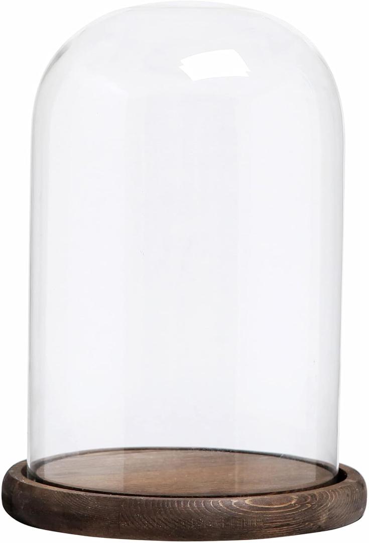 MyGift The Bell Jar Glass Cloche with Rustic Wood Base, 10 Inch Tall Clear Decorative Glass Dome Display for Plants, Curios, Keepsakes, Heirlooms