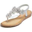 Generic Women Sandals Spring Summer Shoes Beach Bohemia Flower Crystal Flip Flops Sandal Casual Shoes, 10, Silver