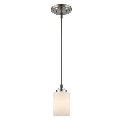Trans Globe Lighting 70520 BN Mod Pod Collection One Light Mini Ceiling Pendant I in a Brushed Nickel Finish I Traditional Style Light Fixture I Adjustable Height I