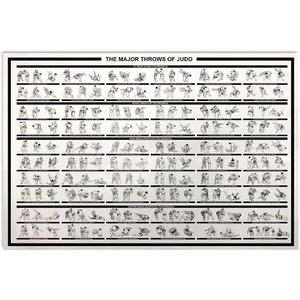 JIUFOTK The Major Throws Of Judo Metal Sign Judo Knowledge Infographic Posters Wall Decor Printed Plaque For Home Club Farm Garage 16x24 Inches