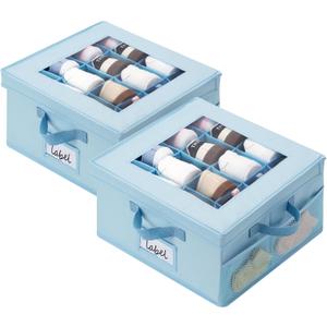 GRANNY SAYS Shoe Organizer for Closet, Fits up to 8 Pairs, 2 Pack Shoe Cubby Storage Containers with Side Mesh Pocket and Flip-Top Lids, Blue (Max Foot Length: 6")