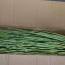 VEVOR Artificial Grass Plant, 2 Pack 35 inch Cattail Grass in Pot, Premium PVC Faux Fake Greenery Shrubs Plant for Indoor Outdoor House Home Garden Office Room Décor, Housewarming, Green