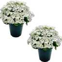 Romantic season 2 Pack Artificial Geranium Bush – Realistic 20" Faux Flowers for Indoor Outdoor Home Decor, Garden, Patio, Planter, Office, Wedding Centerpiece, UV Resistant, White