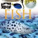 DK Eyewitness Books: Fish: Discover the Amazing World of Fish―How They Evolved, How They Live, and their We