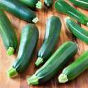 9 x 30+ Seeds Zucchini Sungreen - Vegetable Green