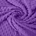 Pro Goleem Baby Soft Minky Dot Blanket with Silky Satin Backing Baby Gifts for Boys and Girls (Purple, 30 x 40)