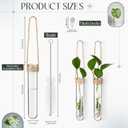 Baderke 6 Pack Plastic Hanging Propagation Vases Wall Planters Hanging Plant Propagation Station Flower Vase for Hydroponic Office Garden Flower Decor Lover Gift (Natural Color)