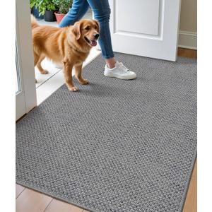 DEXI Door Mat Inside Entrance 35x56, Ultra Non Slip Rubber Backed Dirt Trapper, Low Profile Thin Welcome Doormat, Absorbent Easy Clean Entry Mats for Entryway, Patio, Grey (3' x 4'8" (Rectangular))