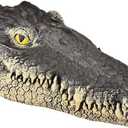 Floating Alligator Head, Fake Gator Head for Pool Outdoor Pond Accessories Float Crocodile Head Decoy for Koi Pond Pool Garden Decoration 13in x 5.5in x 2.8in