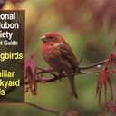 National Audubon Society Pocket Guide to Songbirds and Familiar Backyard Birds: Eastern Region: East