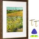 16x20 Picture Frame, Ornate Embossing Frame with Paper Mat and Plexiglass, Fit for 16x20 without Mat or 11x14 with Mat, Wall Mounting Display for Art Prints, Black and Antique Gold, 2 Pack