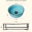 GDCZ Ceramics Raised Cat Bowls with Heighten Metal Stand,15 Ounces Turquoise