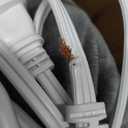 Bedsure Heated Blanket Throw Blanket - Fast Heating Electric Blanket, Soft Flannel Heated Throw with 4 Time Settings, 6 Heating Settings, Warm Gifts for Grandma & Grandpa & Seniors (50x60, Grey)