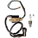 Gbeneiac 50cc 70cc 90cc 110cc 125cc Ignition Coil for Coolster ATV-3050B 3050B Kids 4 Quad Four Wheeler Roketa taotao DB10 Cheetah Baja Kazuma Meerkat 50 Falcon 90 Apollo DB21 Kids ATV Dirt Bike Parts