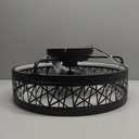 Ricodo 18" Modern Black Caged Ceiling Fan w/ Light 6-Speed Dimmable Remote (4A)