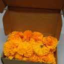 Hananona 50 Pcs Marigold Flower Heads Bulk, Silk Marigolds with Stems Artificial Mexican Flowers for Diwali Day of The Dead Dia De Los Muertos Ofrenda Decor (Orange)