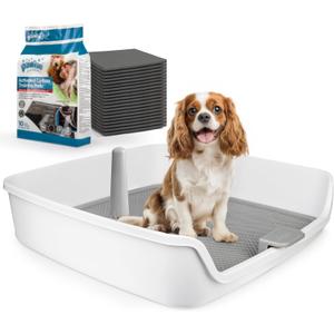 ALL FOR PAWS Dog Potty Tray Indoor Dog Pee Pad Holder Toilet Puppy Litter Box with Removable Post, Raised Sides, Large Space, Shed Proof & Mess Free, Easy Clean-up, Great for Large Size Dogs