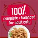 Purina Friskies Gravy Wet Cat Food Variety Pack, Prime Filets Meaty Favorites - (Pack of 24) 5.5 oz. Cans