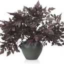 Lyrow 6 Pack Artificial Cimicifuga Plant Leaf Spray Faux Plum Faux Fall Spray Silk Plants Cimicifuga Plant Leaf Branch for Home Vase Wedding Garden Farmhouse Table Mantel Decor (32 Inches)