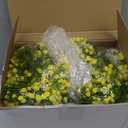Lyrow 6 Pcs Artificial Baby Breath Flower Vines 5.9ft Faux Hanging Gypsophila Greenery Garland Vines Fake Bulk Baby Breath Garland for Wedding Party Table Home Backdrop Wall Decor (Yellow)