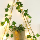 Hanging Shelf Wall With Plants Decor Lights 16,5x6