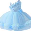 Baby Flower Girl One Shoulder Formal Wedding Dress 6M 9M 1st 2nd 3rd 4th 5t Birthday Cake Smash Outfits Floral Embroidery Toddler Tea Party Pageant Prom Bridesmaid Ball Gown Sky Blue 9-12 Months