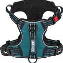 PoyPet No Pull Dog Harness, No Choke Front Clip Reflective Dog Vest with Soft Padded Vertical Handle, 3 Leash Attachments for Small Medium Large Dogs (Tumalo Teal,M)