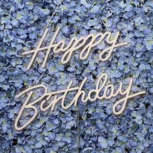 Happy Birthday Neon Sign,Innovative Integral Forming Process,With Dimmable Switch For All Holiday Party and Home Decoration,Total Length 40Inch, Colorful