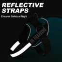 Essential Dog Harness with 3 Leash Clips - No-Pull, Adjustable, Comfortable Pet Vest Harness for Small to Large Dogs - Easy On, No Choke, Reflective, Padded Harness for Walking and Training (S(Neck:14-18",Chest:16-21"), Turquoise)