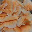 Giant Flowers for Easter Decoration 5.58FT Big Flowers with Stand Base Large Artificial Silk Floral for Wedding Birthday Party Window Display Outdoor Decor (Orange)