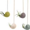 Air Plant Holder Unique, Cute Octopus Air Plant Hanger Wall Planter, Ceramic Tillandsia Airplants Holders Hanging Wall Decor for Home Office (Whelk-Small (2.8 x 2 in),4 pcs/Set)
