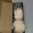 Loofah on a Stick, 20.5 Shower Sponge Loofah Back Scrubber, Exfoliation and Improved Skin Health, Back Loofah for Shower for Men Women