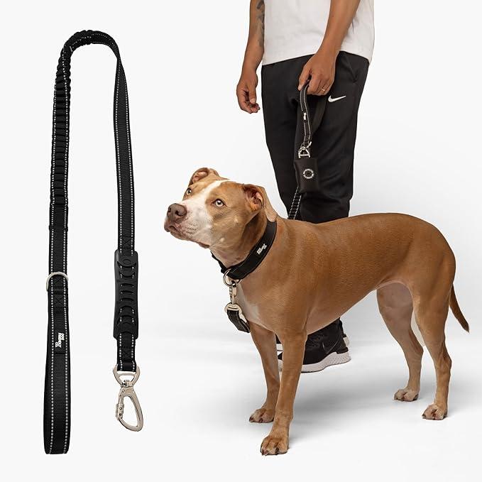 DF Co. Bungee Dog Leash | Strain Free & Shock Resistant for Control | Neoprene Padded Handle, HeavyDuty Carabiner Clip, and DRing | Black, Size Regular
