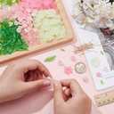 NBEADS 417 Pcs Acrylic Assorted Beads Kit, Frosted Flower Beads Caps Maple Leaf Acrylic Pendants Leaf Loose Beads Earring Making Kit with Faceted Glass Beads Brass Ball Pins for Jewelry Making