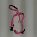 PetSafe Gentle Leader Headcollar No-Pull Dog Collar - Helps Improve Walks - Durable Nylon Construction - Padded Nose Loop - Adjustable Fit - Comfort Walking Halter - Medium, Raspberry Pink