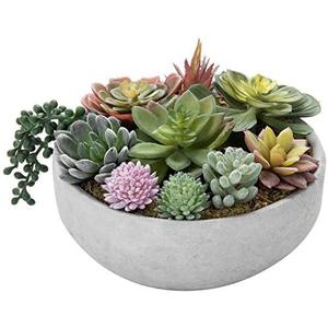 Amazon.com: MyGift 8 Inch Round Modern Artificial Succulent Arrangement Potted in Gray Concrete Plant Bowl, Assorted Faux Mini Succulents in a Decorative Planter Pot : Home & Kitchen