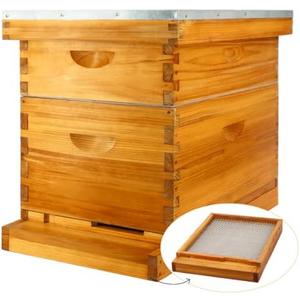MayBee 8 Frame Screened Bottom Board Beehive Dipped in 100% Beeswax, Bee Hives Kit Includes 1 Deep Boxes & 1 Medium Hive Box with Beehive Frames and Wax Foundations. Preferred for Summer