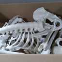 Oddwaxs 8ft Halloween Giant Skeleton - Posable with Glowing Eyes & Luminescent Paint, Tall Outdoor Skeleton Full Body Life-Like Bones for Halloween Decorations