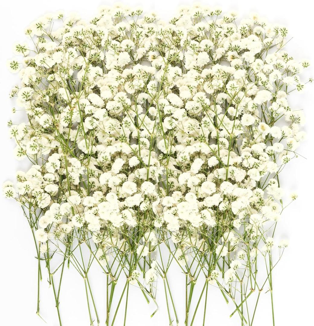 150Pcs Mini Dried Pressed White Babys Breath Flowers Bulk - Real Natural Flat Flowers for Epoxy Craft, Scrapbooking, Wedding Invitations, Home Decor, DIY Gifts for Crafters & Event Planners (150)
