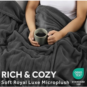 SUNBEAM MIVROPLUSH HEARER BLANKET TWIN