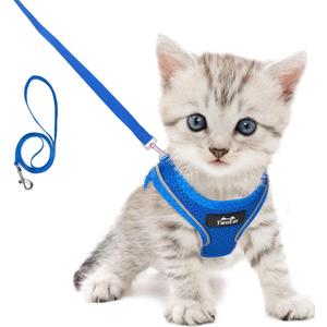 TwoEar Cat Harness Escape Proof, Soft Dog Vest Harness Adjustable, Breathable Mesh Step-in Puppy Walking Jacket Reflective Easy Control for Extral Small Pets for Outdoor Walking(XXXS, Blue) (XXXS(Neck:10.2-11.4"/Chest:11.4-12.6"))