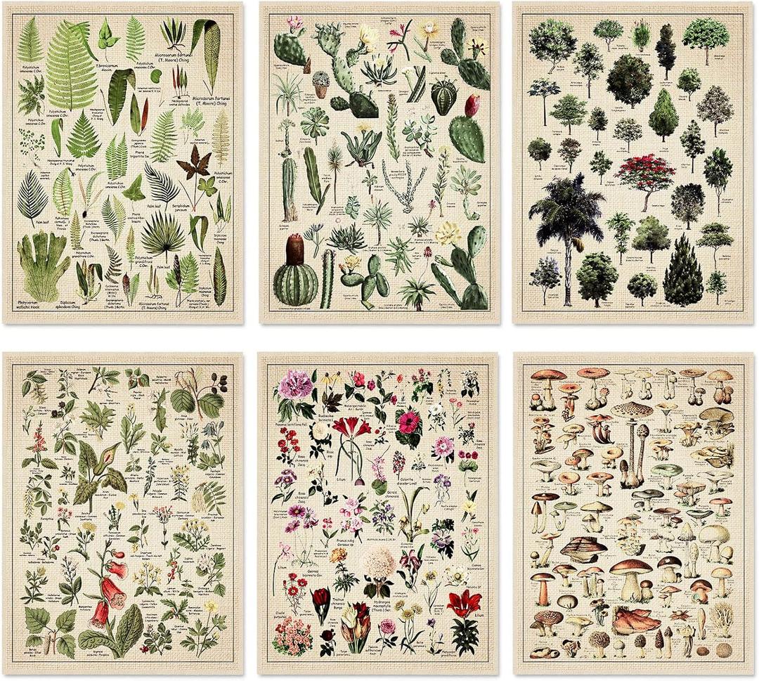 Fainne Set of 6 Plant Poster Vintage Botanical Prints 12 x 16 Inch linen Decorative Wrap Poster Tree Art Picture Vintage Mushroom Floral Nature Decor Cactus Prints