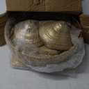 Cupcake Stand Set, Dessert Table Display Set Gold Metal Cake Stands with Tiered Tray Stands Cake Platter Cake Knife and Server Set for Party, Candy Table Display Set for Wedding Birthday Baby Shower