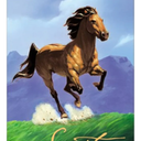 Spirit: Stallion of the Cimarron (Paperback)
