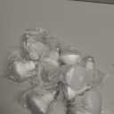 Energetic BR20 LED Bulb R20 Dimmable 6000K Cool Daylight 45W Equivalent to 6.5W, Recessed Can Light Bulbs, Kitchen Ceiling Lights, E26 500 Lumen LED Flood Light Bulbs, Indoor UL Listed (Pack of 10)