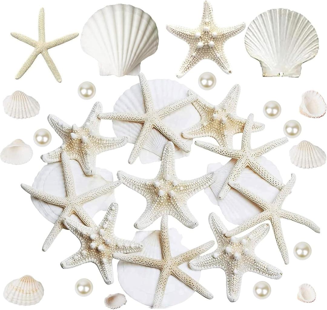 JQAQJU 16PCS Starfish and Scallop Shells for Crafts 3"-4" with Pearls, Natural Sea Shells for Crafting Beach Party Christmas Decor DIY