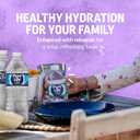 Pure Life Purified Water Bottles, 12 Pack - Still Bottled Water Enhanced with Minerals for a Crisp Taste, Plastic Bottles - 16.9 Fl Oz, Expiry: 03/31/27