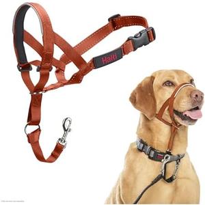 HALTI Headcollar - to Stop Your Dog Pulling on The Leash. Adjustable, Reflective and Lightweight, with Padded Nose Band. Dog Training Anti-Pull Collar for Medium Dogs (Size 2, Burnt Orange)