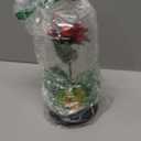 Mothers Day Mom Gifts for Women, Womens Gift for Birthday Gifts for Women Mom Wife Girlfriend, Light Up Rose in A Glass Dome, Rose Gifts for Valentines, Mothers Day, Womens Day (Red)